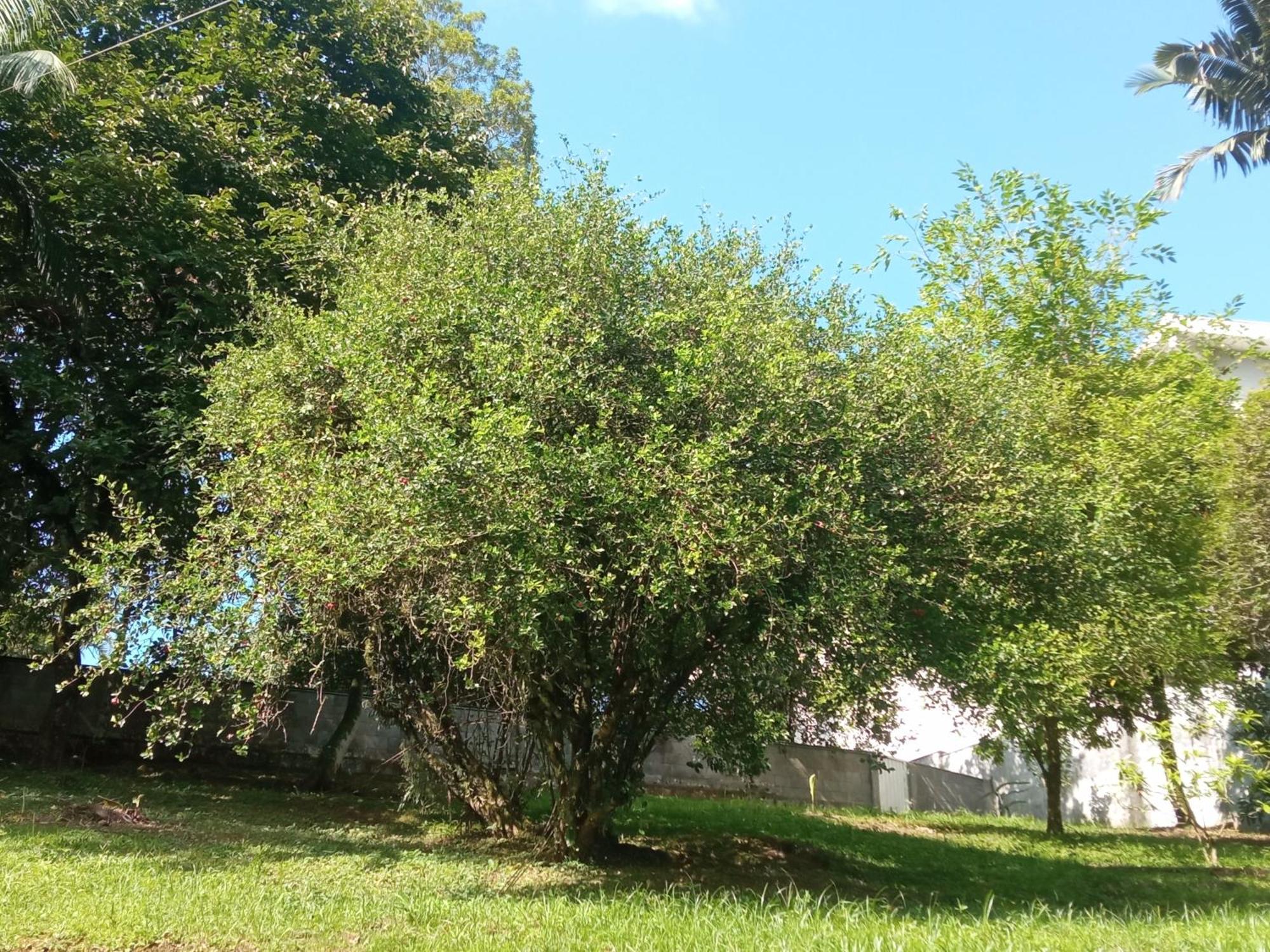 No Jardim Apartamento *